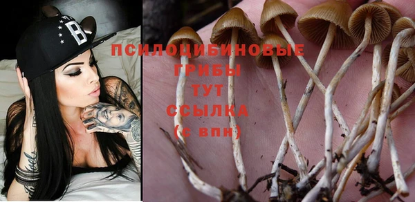 кристаллы Гусев
