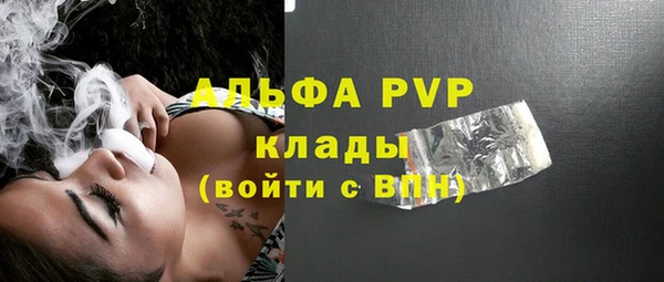 тгк Дмитров
