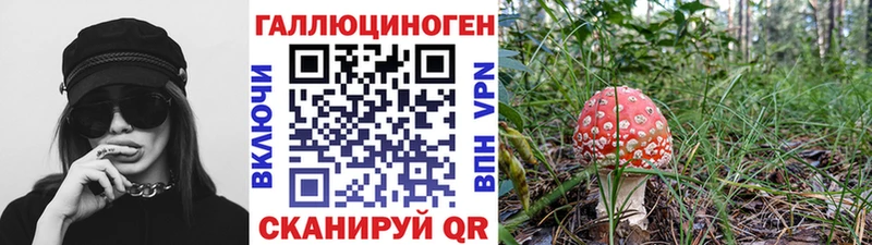 Купить закладки  Красный Кут  Псилоцибиновые грибы Cubensis 